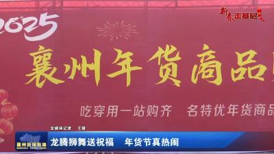龙腾狮舞送祝福 年货节真热闹