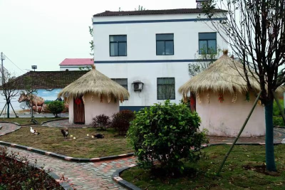突出“三个聚焦” 全面推进“三美”乡村建设
