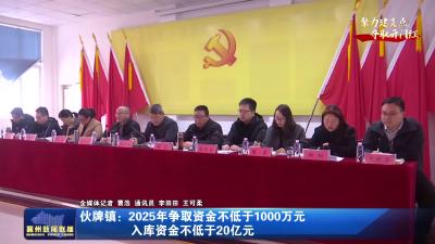 伙牌镇：2025年争取资金不低于1000万元入库资金不低于20亿元