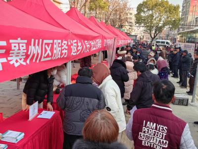 朱集镇：人大代表来助力 开启就业“直通车”