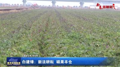 白建锋：新法耕耘 硕果丰仓