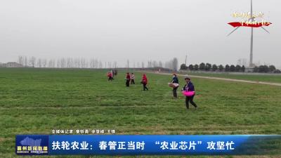 扶轮农业：春管正当时“农业芯片”攻坚忙