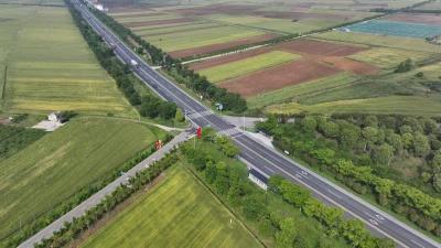 我区普通国省干线公路养护管理工作进入全省前列