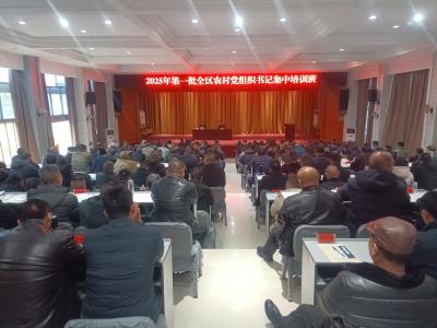 2025年第一批全区农村党组织书记集中理论培训班开班