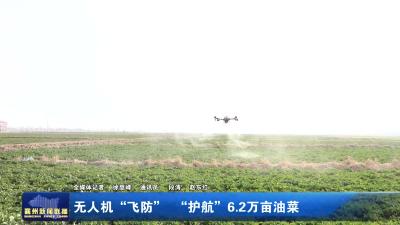 无人机“飞防”  “护航”6.2万亩油菜