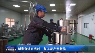 新春奋进正当时 复工复产开新局