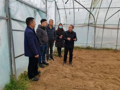 双沟镇人大发挥桥梁作用 助推农旅融合赋能乡村振兴