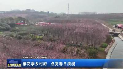 樱花季乡村游  点亮春日浪漫