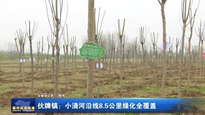 伙牌镇：小清河沿线8.5公里绿化全覆盖