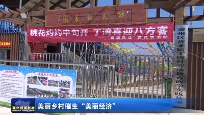 美丽乡村催生“美丽经济”