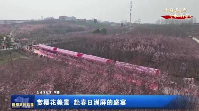 【聚力建支点  夺取开门红】赏樱花美景  赴春日满屏的盛宴