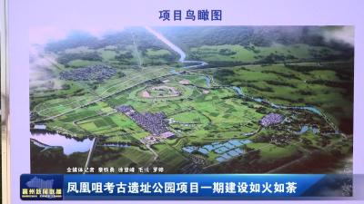 凤凰咀考古遗址公园项目一期建设如火如荼
