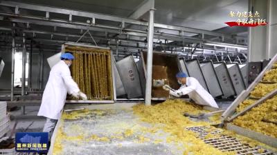 中唐健康产业湖北公司：两大核心技术奋战“开门红”