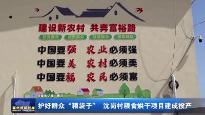 护好群众“粮袋子”  沈岗村粮食烘干项目建成投产