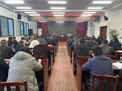我区召开第一季度燃气安全形势分析会