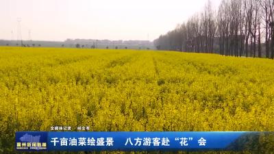 千亩油菜绘盛景 八方游客赴“花”会