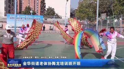 金华街道老体协舞龙培训班开班