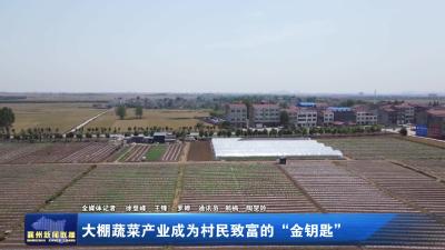 大棚蔬菜产业成为村民致富的“金钥匙”