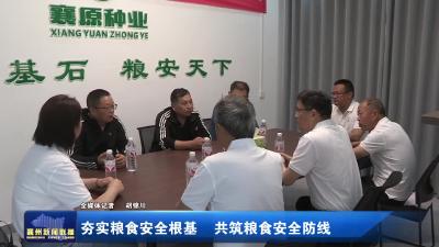 夯实粮食安全根基  共筑粮食安全防线