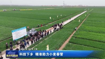 科技下乡  精准助力小麦春管