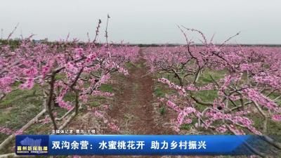 双沟余营：水蜜桃花开 助力乡村振兴