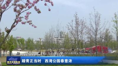 踏青正当时  西湾公园春意浓