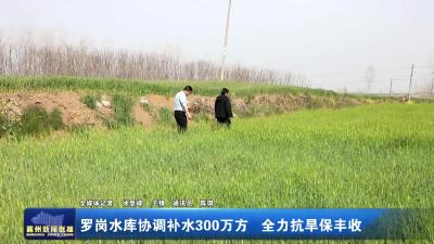 罗岗水库协调补水300万方  全力抗旱保丰收