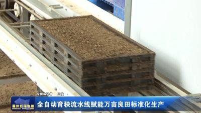 全自动育秧流水线赋能万亩良田标准化生产