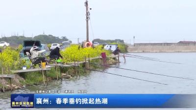 襄州：春季垂钓掀起热潮