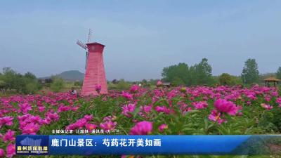鹿门山景区：芍药花开美如画