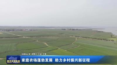 家庭农场蓬勃发展  助力乡村振兴新征程