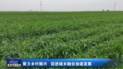 聚力乡村振兴 促进城乡融合加速发展