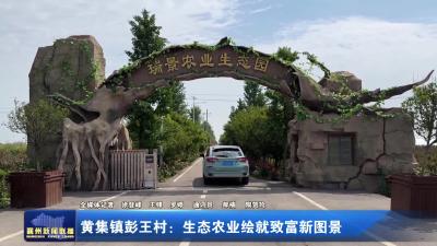 黄集镇彭王村：生态农业绘就致富新图景