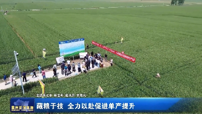 藏粮于技 全力以赴促进单产提升