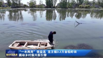 “一水两用”效益高 龙王镇3.2万亩稻虾田撬动乡村振兴新引擎