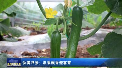 伙牌尹张：瓜果飘香迎客来