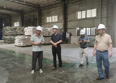 区领导到古驿镇开展企业安全生产检查
