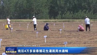 我区4万多亩春播花生灌溉用水通畅