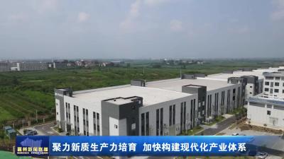聚力新质生产力培育 加快构建现代化产业体系