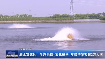 湖北富铭达：生态采摘+文化研学 年接待游客超2万人次