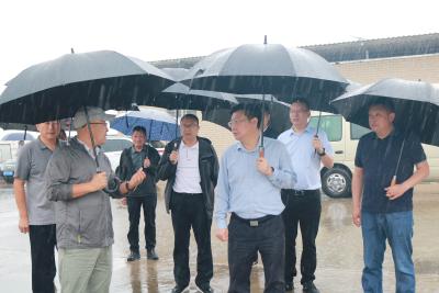 刘明锋：扛牢生态环境保护政治责任 持续擦亮高质量发展生态底色
