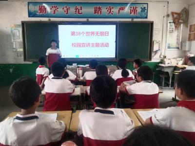 朱集镇：开展第38个世界无烟日宣传活动