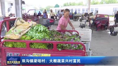 双沟镇梁咀村：大棚蔬菜兴村富民