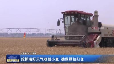 抢抓晴好天气收割小麦 确保颗粒归仓