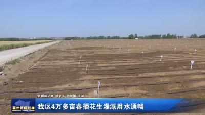 我区4万多亩春播花生灌溉用水通畅