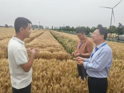 区人大常委会开展《中华人民共和国种子法》执法检查活动 助力种业高质量发展