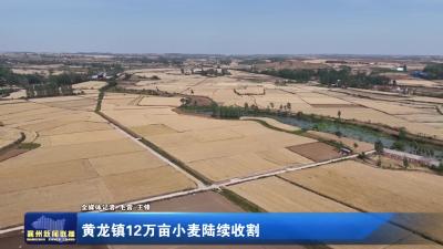 黄龙镇12万亩小麦陆续收割