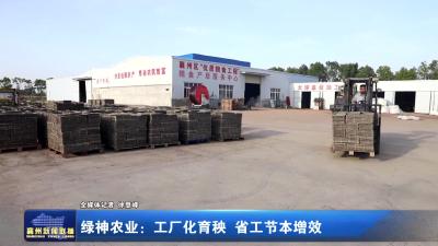绿神农业：工厂化育秧，省工节本增效