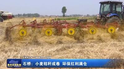 石桥：小麦秸秆成卷 环保红利满仓
