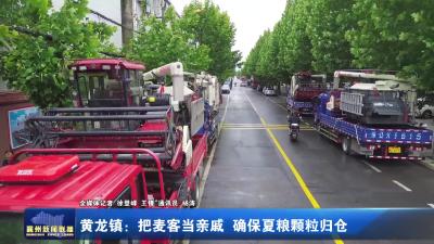 黄龙镇：把麦客当亲戚 确保夏粮颗粒归仓